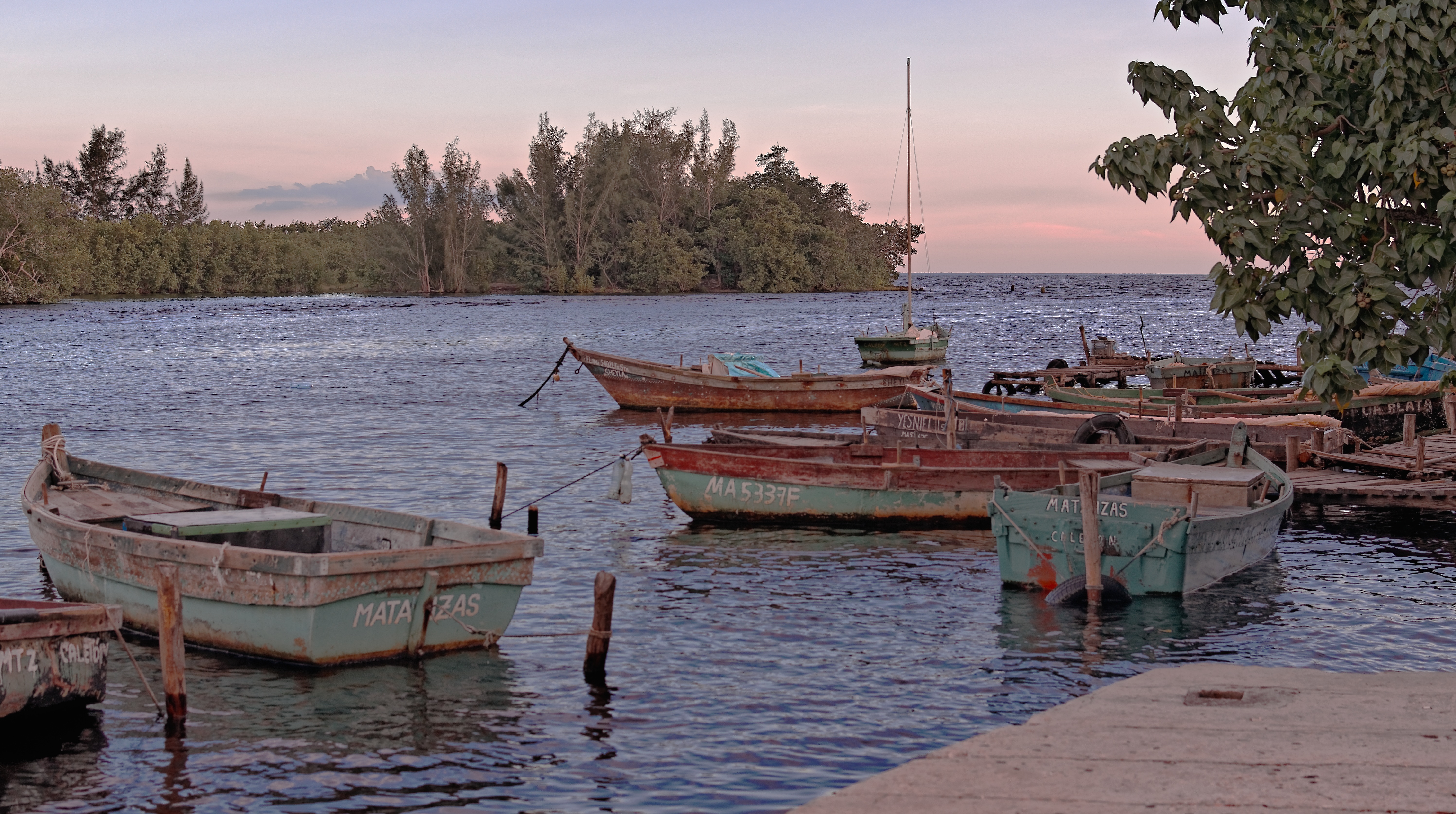 A wide-angle view of several rowboats tied up on posts in an inlet.