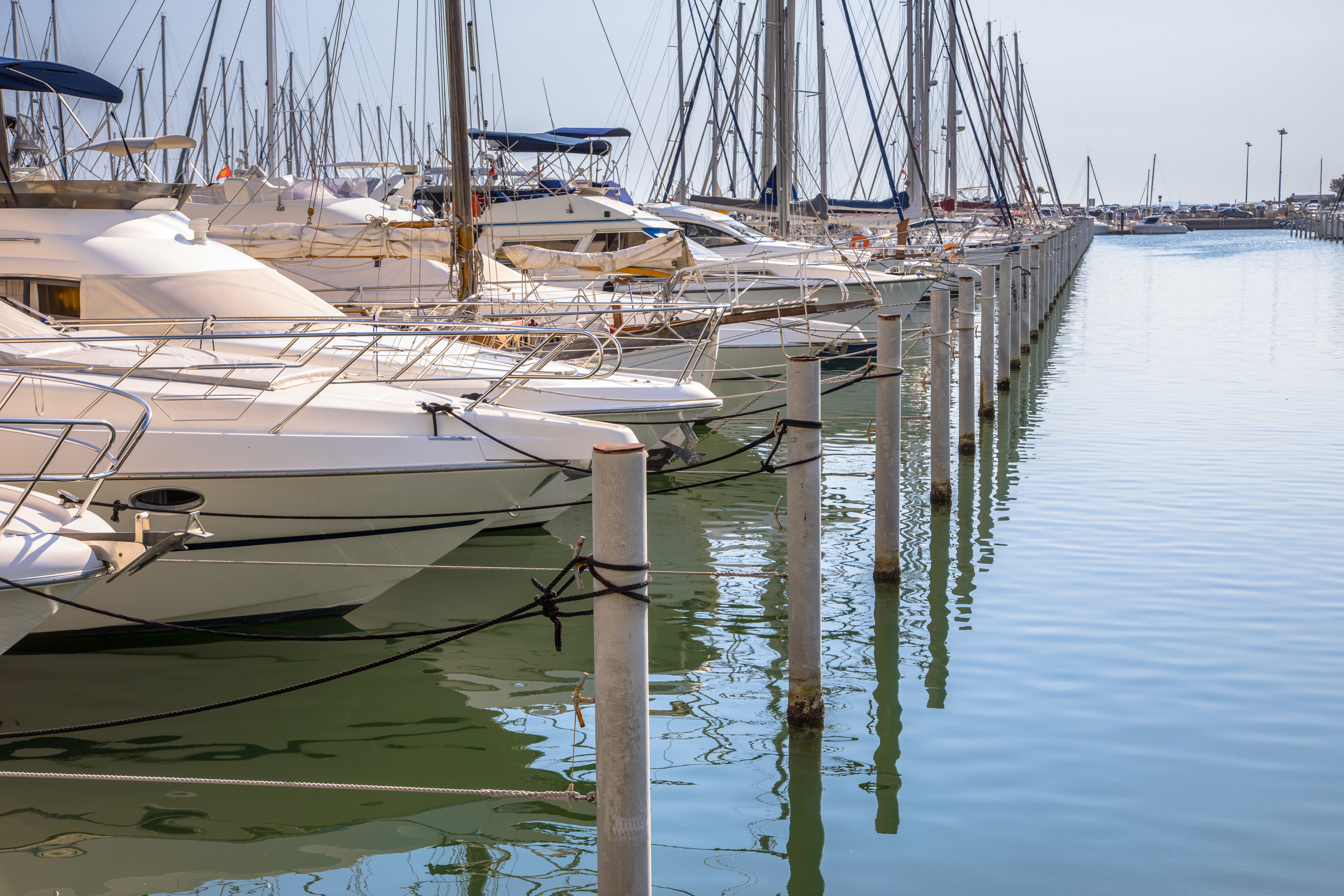 A clean-looking fleet of boats tied up at a marina dock.