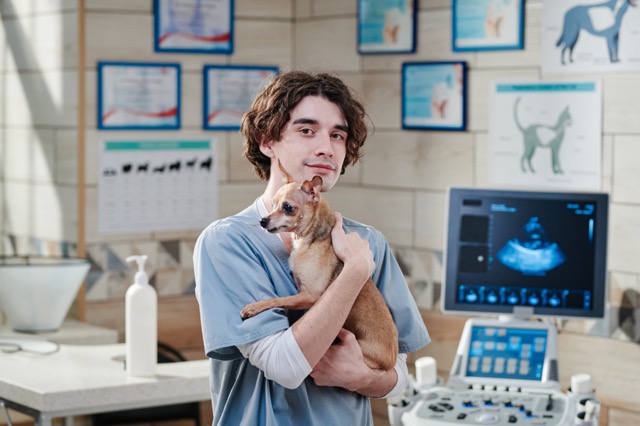 A vetrinarian holding a small dog and looking at the camera.